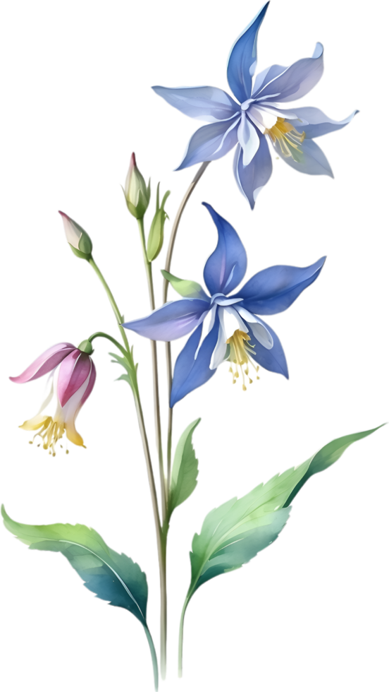 AI generated Watercolor painting of Columbine flower. Illustration of flowers. AI-Generated. png