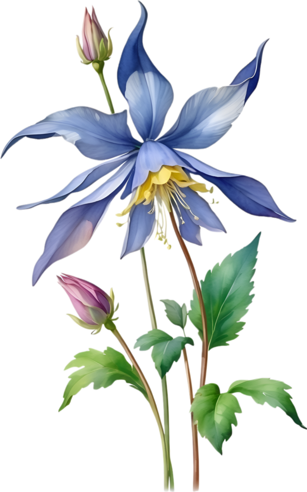 AI generated Watercolor painting of Columbine flower. Illustration of flowers. AI-Generated. png