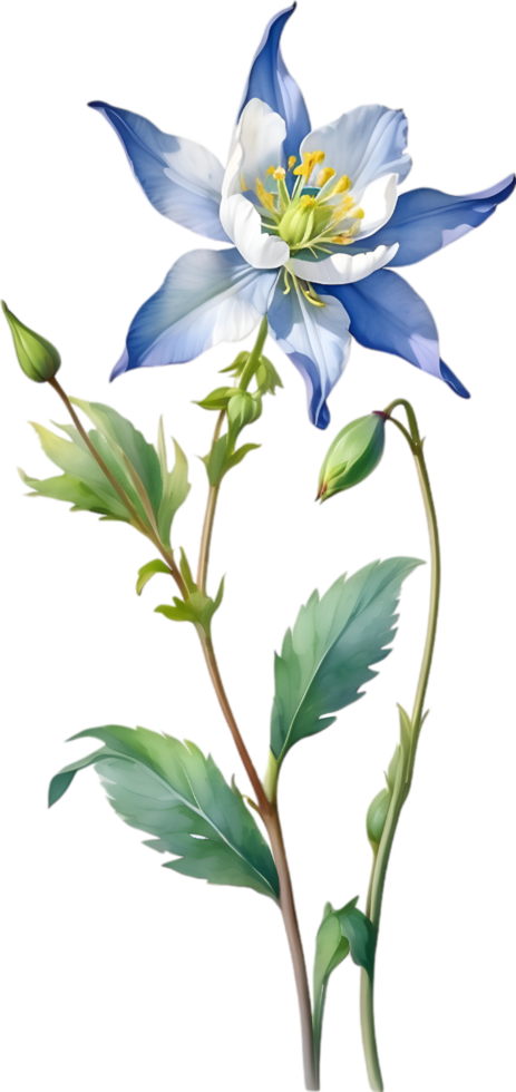 AI generated Watercolor painting of Columbine flower. Illustration of flowers. AI-Generated. png