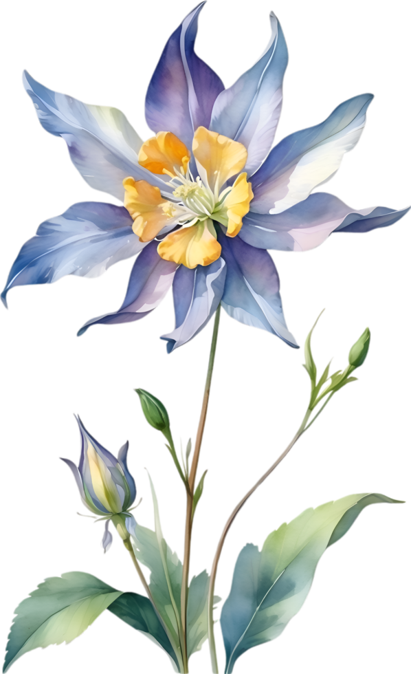 AI generated Watercolor painting of Columbine flower. Illustration of flowers. AI-Generated. png