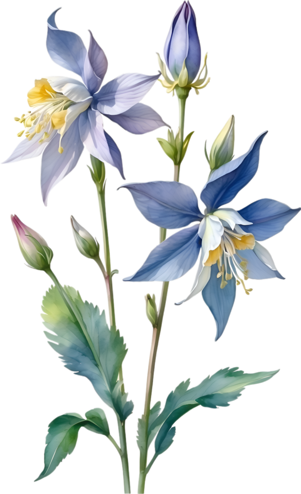 AI generated Watercolor painting of Columbine flower. Illustration of flowers. AI-Generated. png