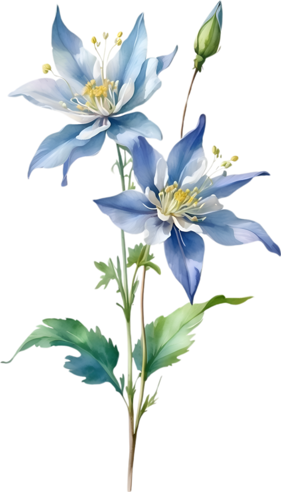 AI generated Watercolor painting of Columbine flower. Illustration of flowers. AI-Generated. png