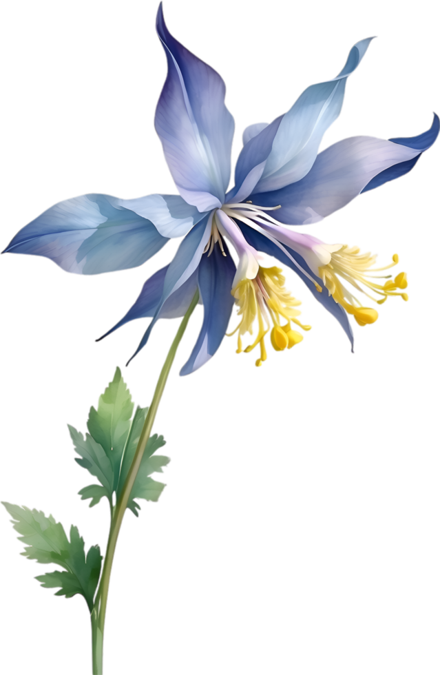 AI generated Watercolor painting of Columbine flower. Illustration of flowers. AI-Generated. png