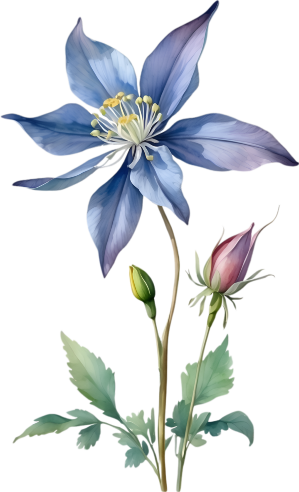 AI generated Watercolor painting of Columbine flower. Illustration of flowers. AI-Generated. png
