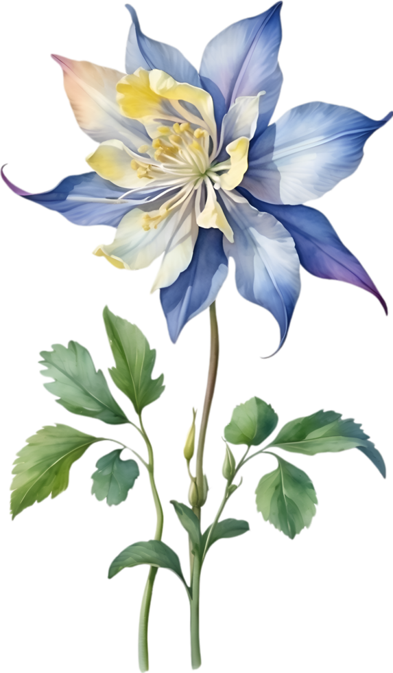AI generated Watercolor painting of Columbine flower. Illustration of flowers. AI-Generated. png
