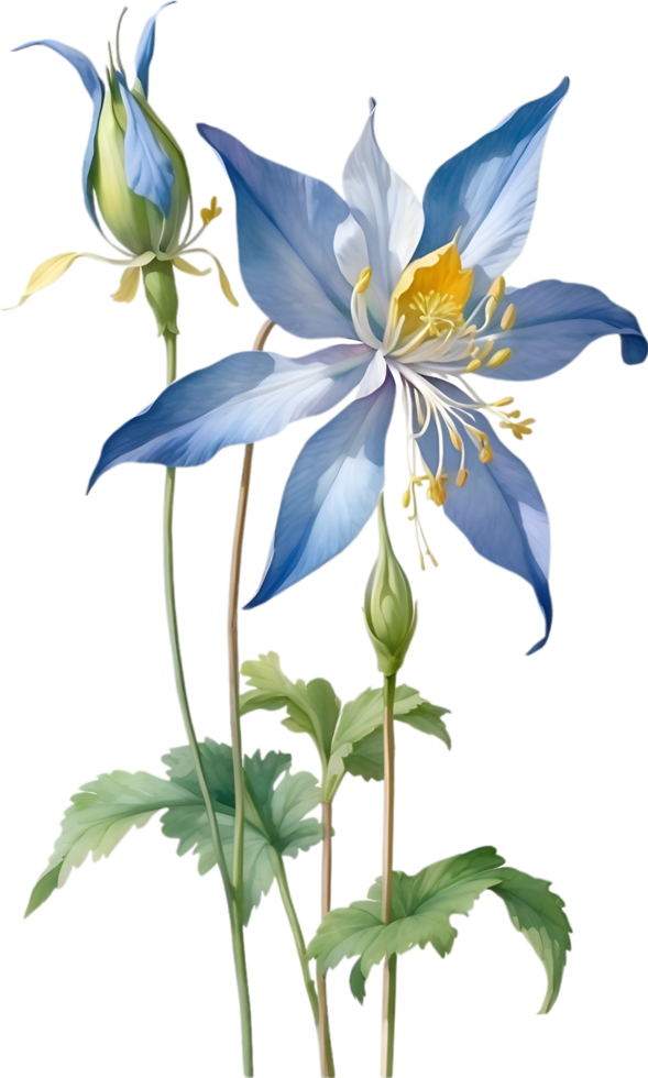 AI generated Watercolor painting of Columbine flower. Illustration of flowers. AI-Generated. png