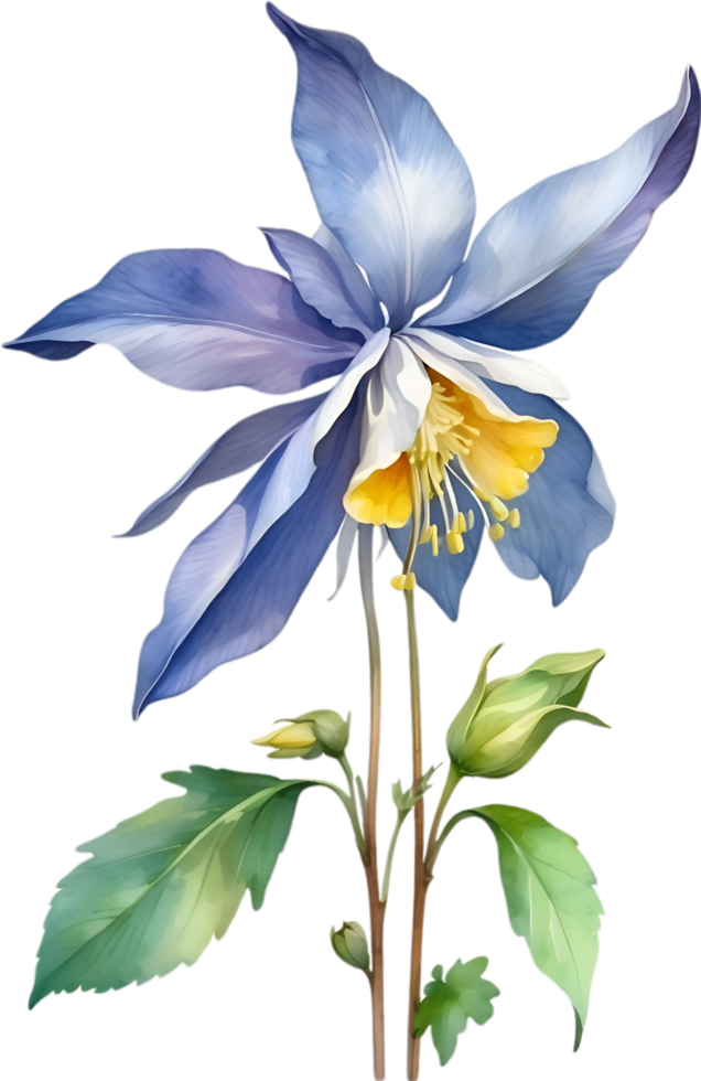 AI generated Watercolor painting of Columbine flower. Illustration of flowers. AI-Generated. png