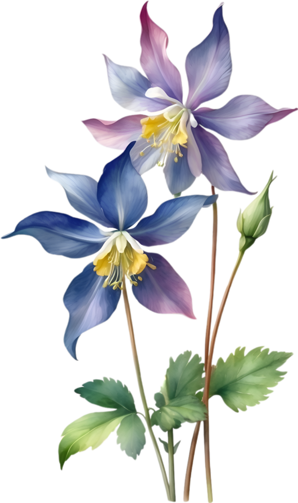 AI generated Watercolor painting of Columbine flower. Illustration of flowers. AI-Generated. png