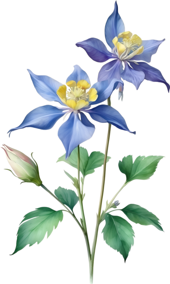 AI generated Watercolor painting of Columbine flower. Illustration of flowers. AI-Generated. png