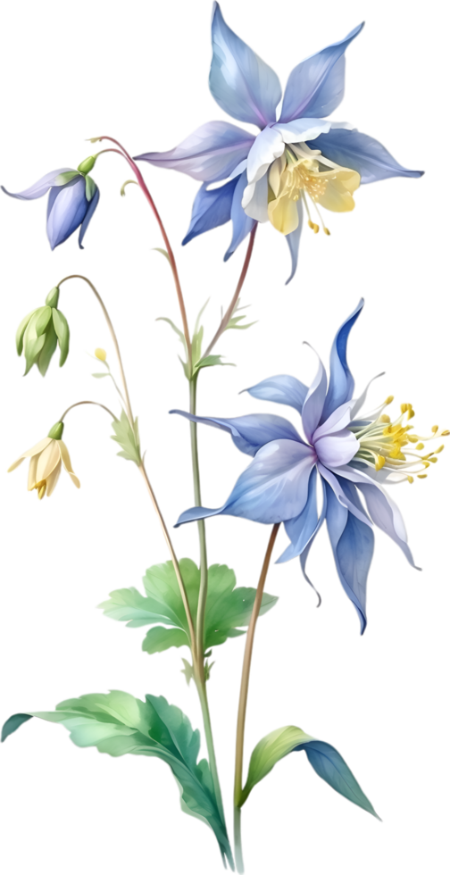 AI generated Watercolor painting of Columbine flower. Illustration of flowers. AI-Generated. png