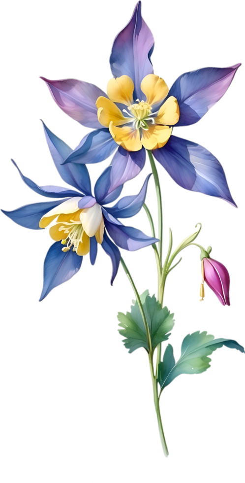 AI generated Watercolor painting of Columbine flower. Illustration of flowers. AI-Generated. png