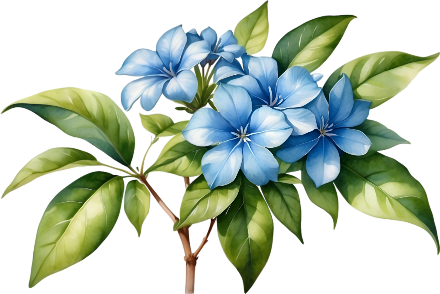 AI generated Watercolor painting of Cape Plumbago flower. Ai-Generated png
