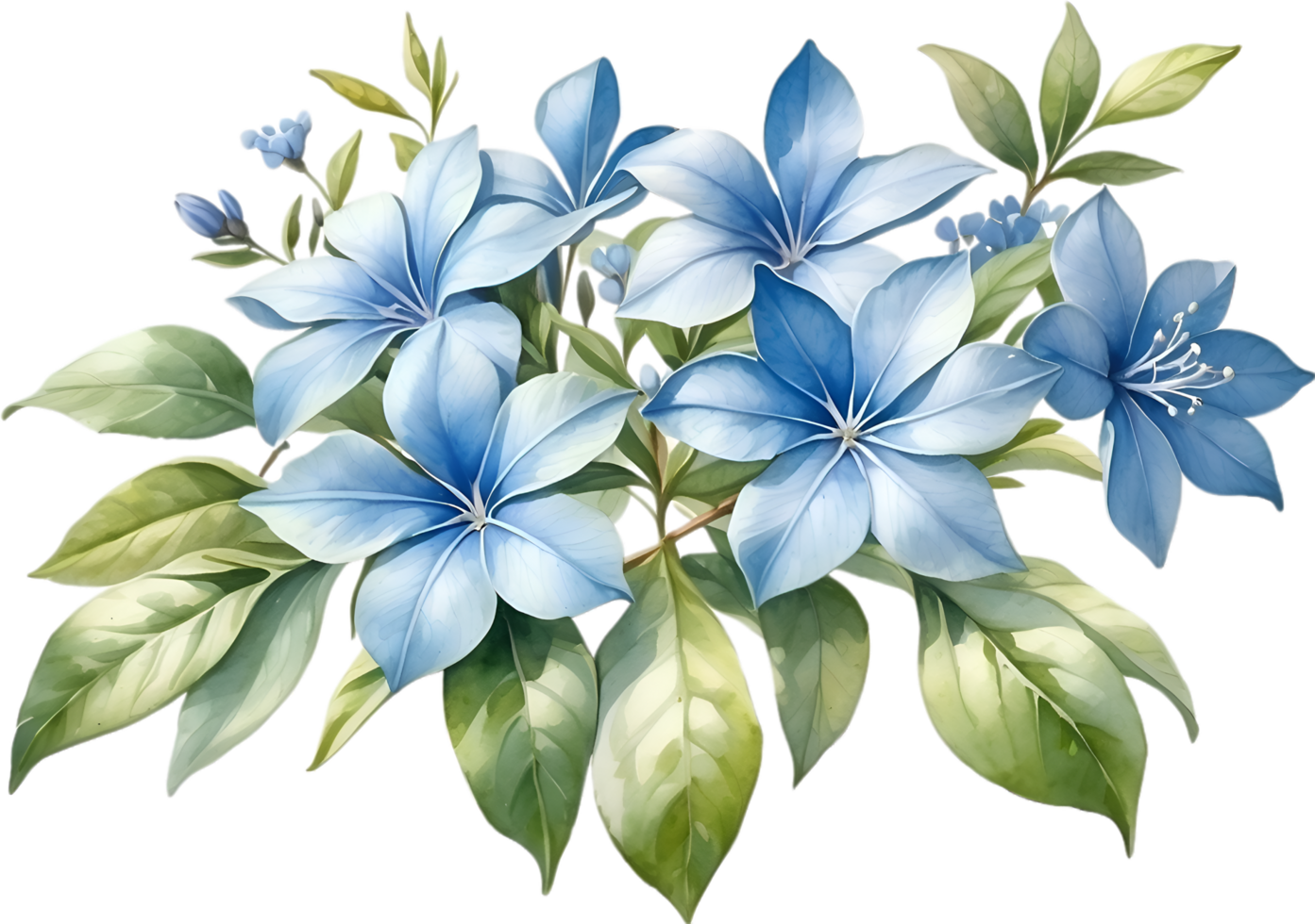 AI generated Watercolor painting of Cape Plumbago flower. Ai-Generated png
