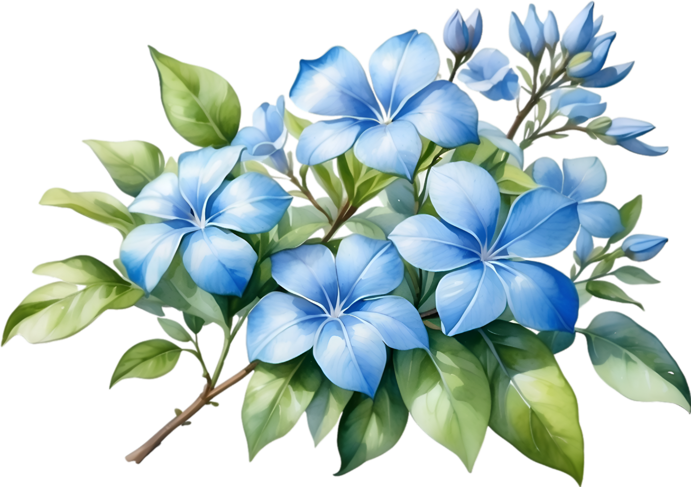 AI generated Watercolor painting of Cape Plumbago flower. Ai-Generated png