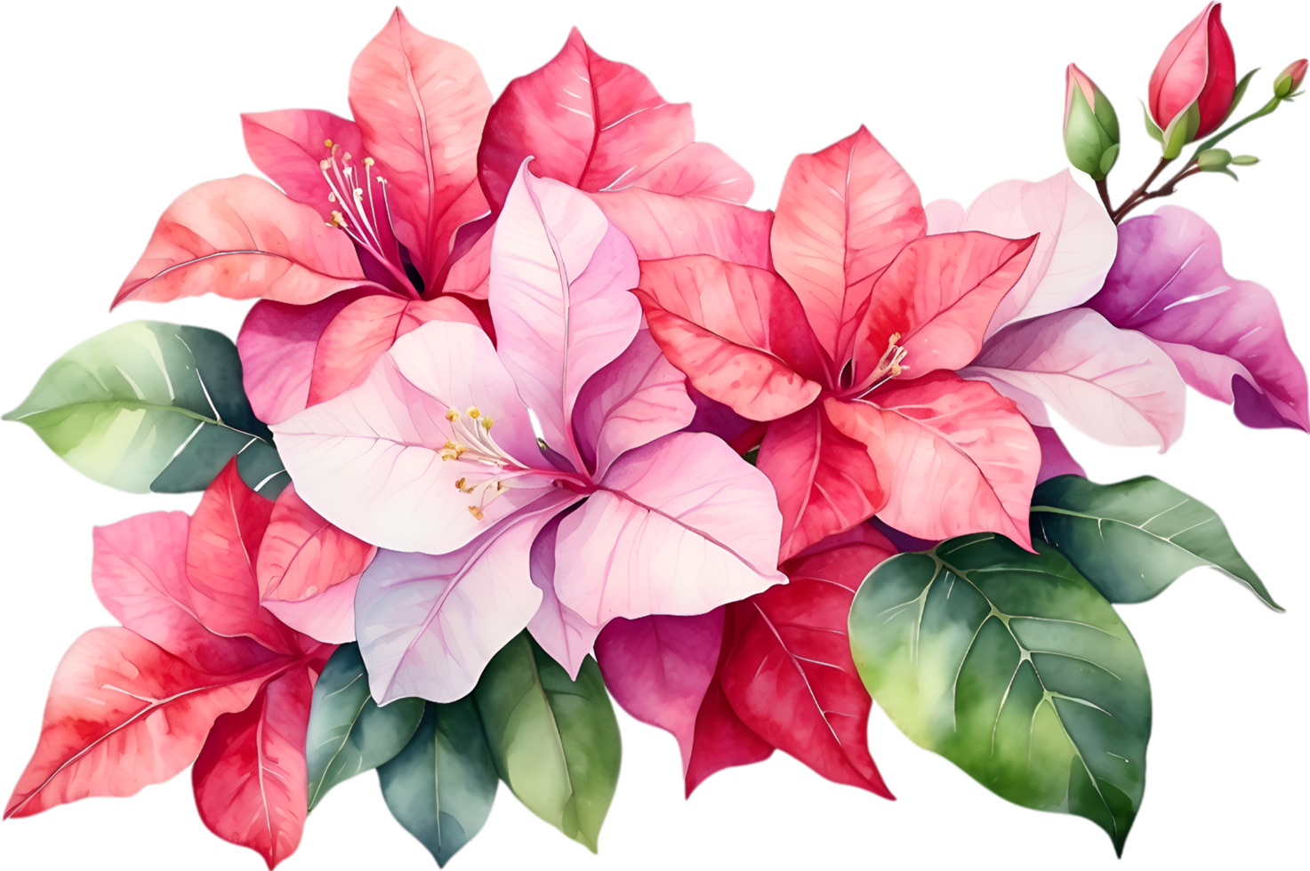 AI generated Watercolor painting of Bougainvillea flower. Ai-Generated png
