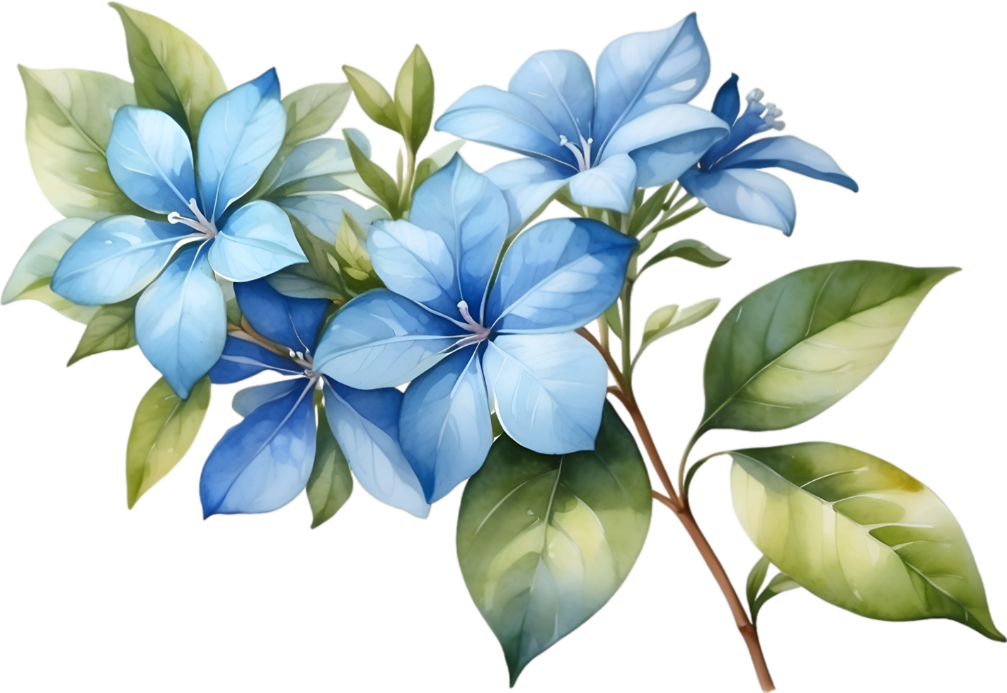 AI generated Watercolor painting of Cape Plumbago flower. Ai-Generated png