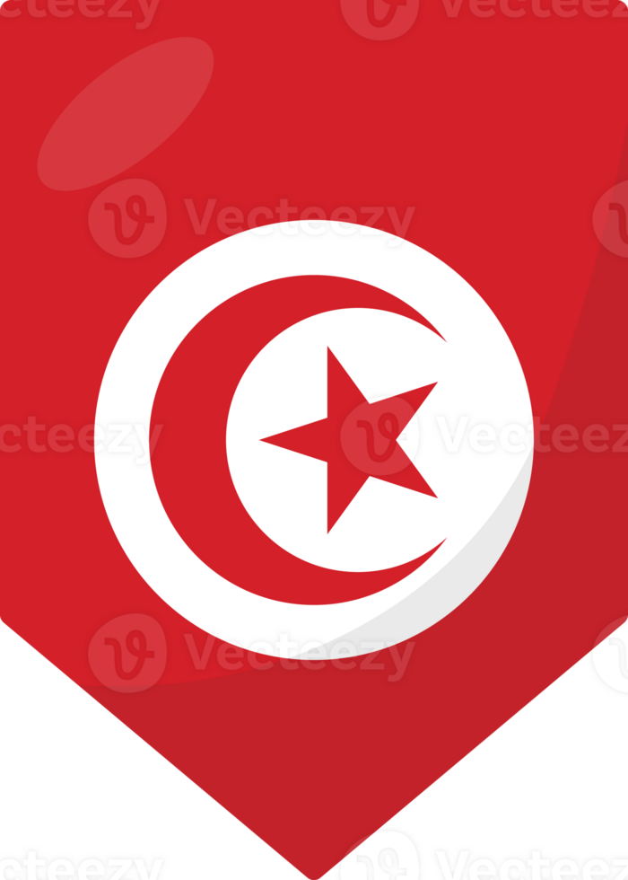 Tunisia flag pennant 3D cartoon style. png