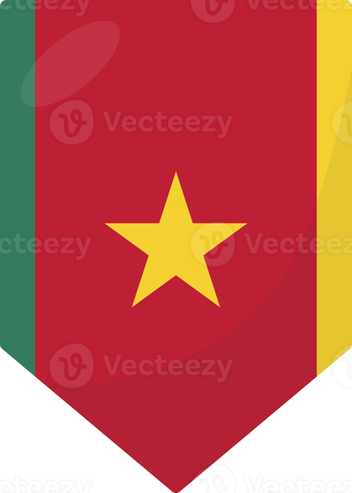 Cameroon flag pennant 3D cartoon style. png