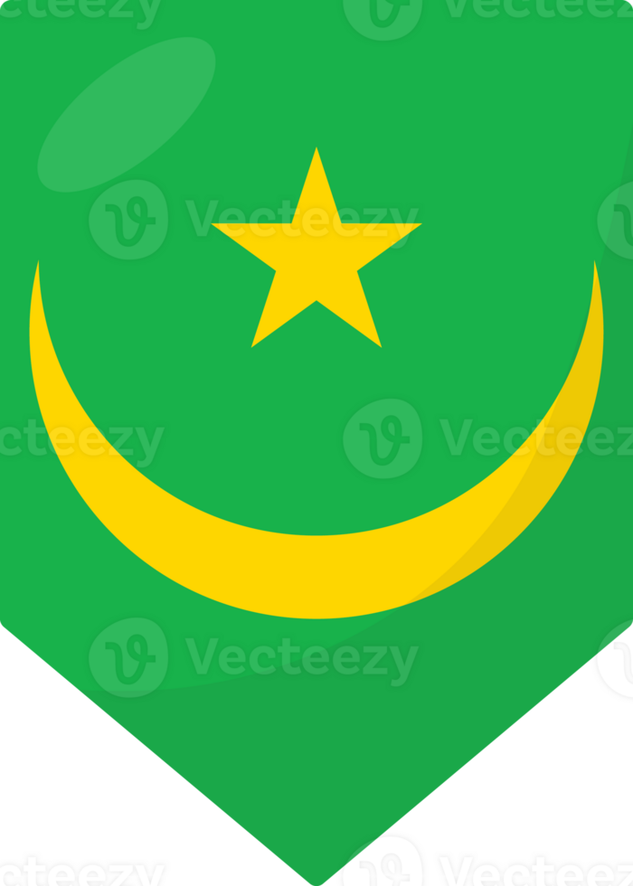 Mauritania flag pennant 3D cartoon style. png