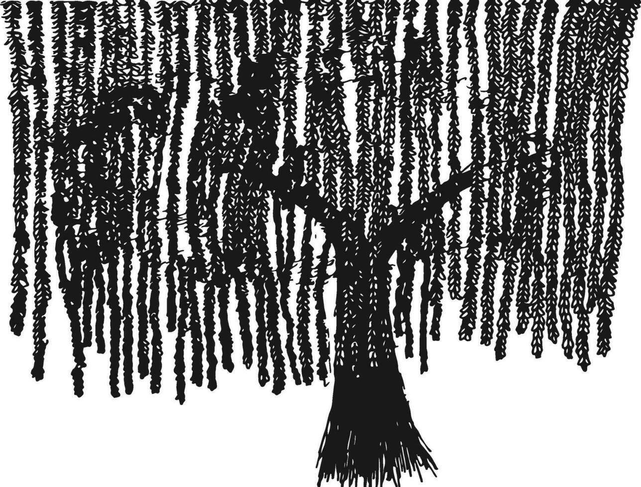 Hand drawn tree sketch illustraion vector