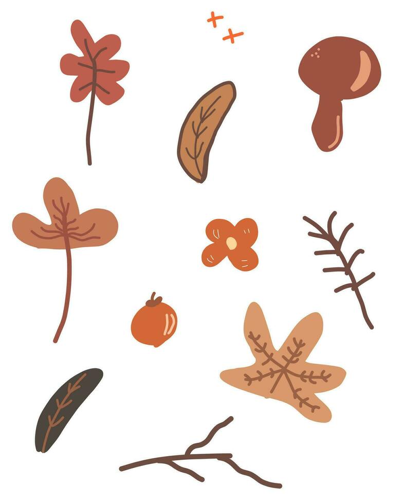 collection of hand drawn autumn elements set vector