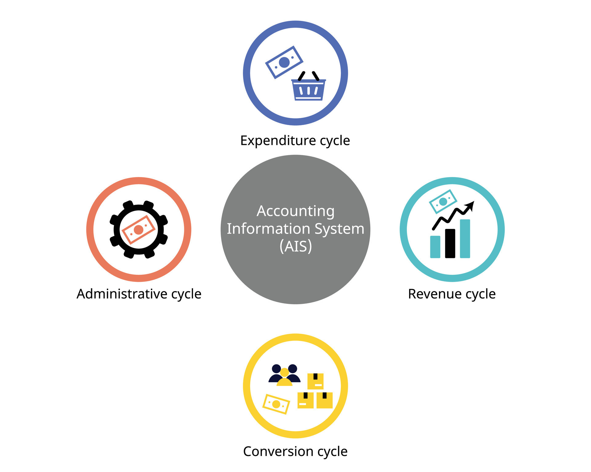 accounting transaction cycle with Expenditure cycles, revenue