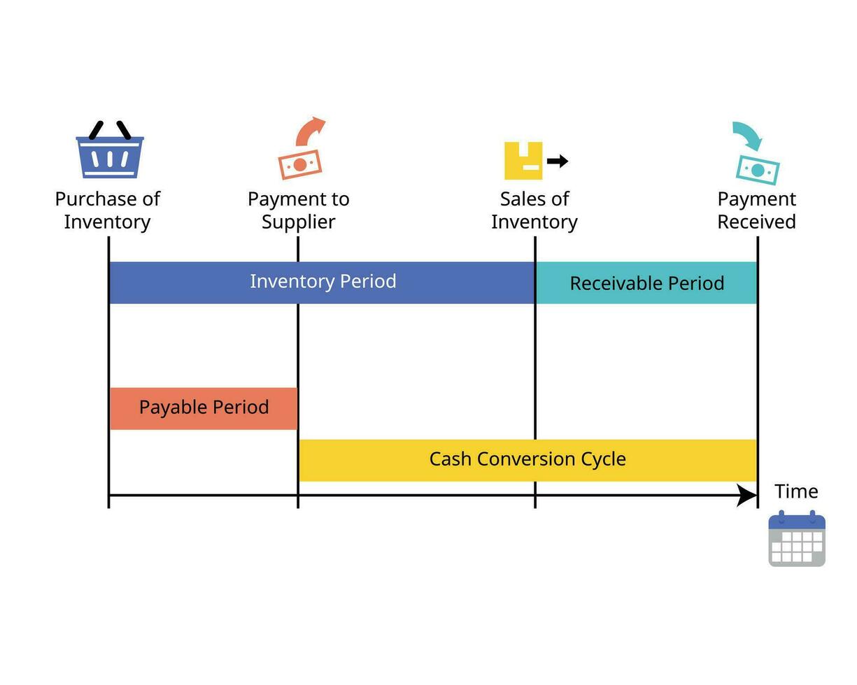 Cash Conversion Cycle and cash flow operating cycle from purchasing inventory to cash vector