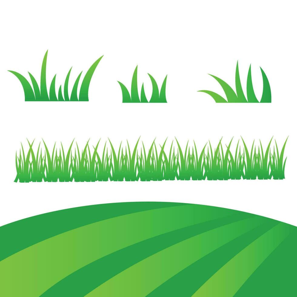 Vector green lawn grass texture illustration