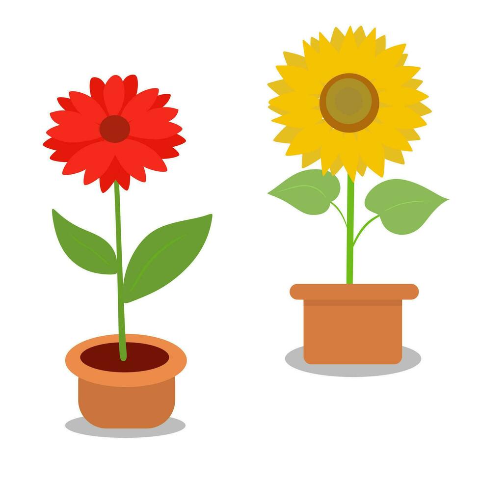 Red Flower And Sunflower In Pot Image Vector