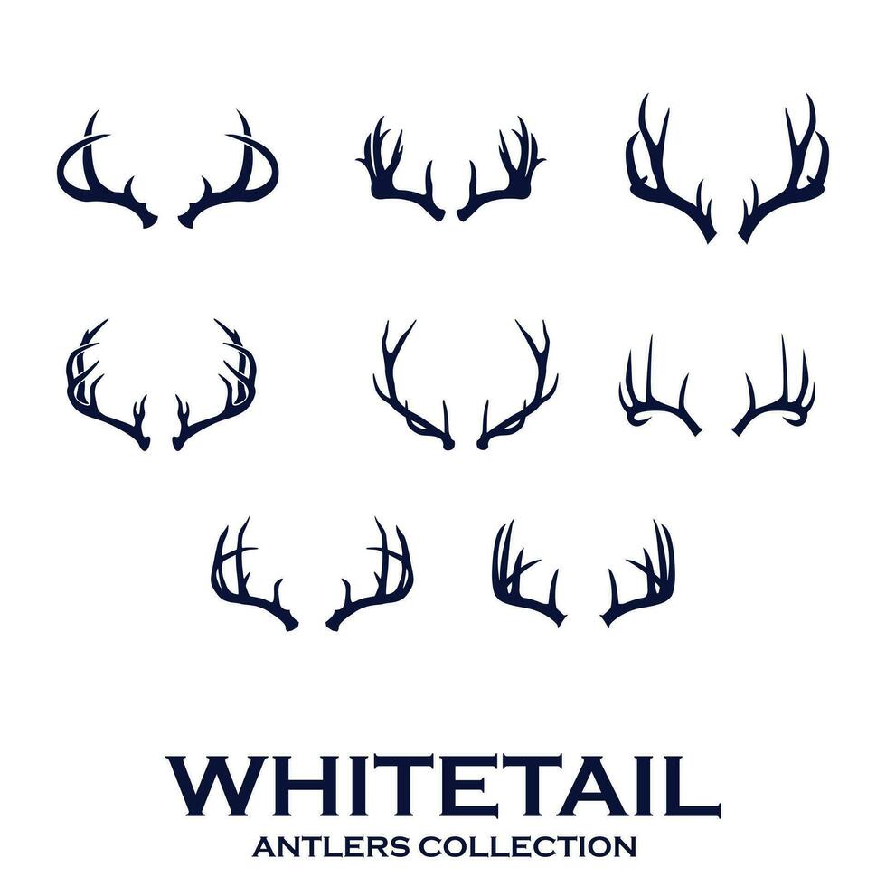 whitetail antlers collection of deer horns vector illustration