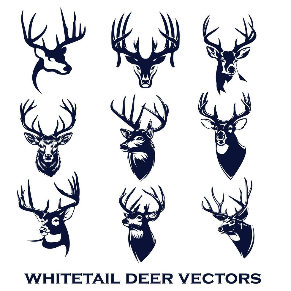 whitetail deer head vector illustration set