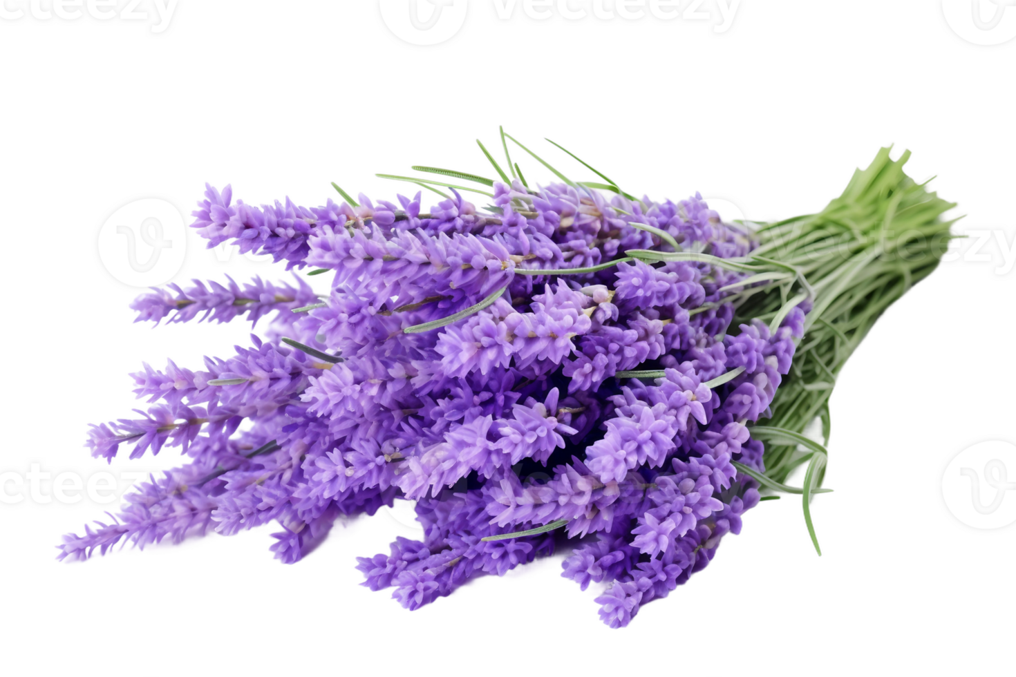 AI generated Lavender with Transparent Background. png