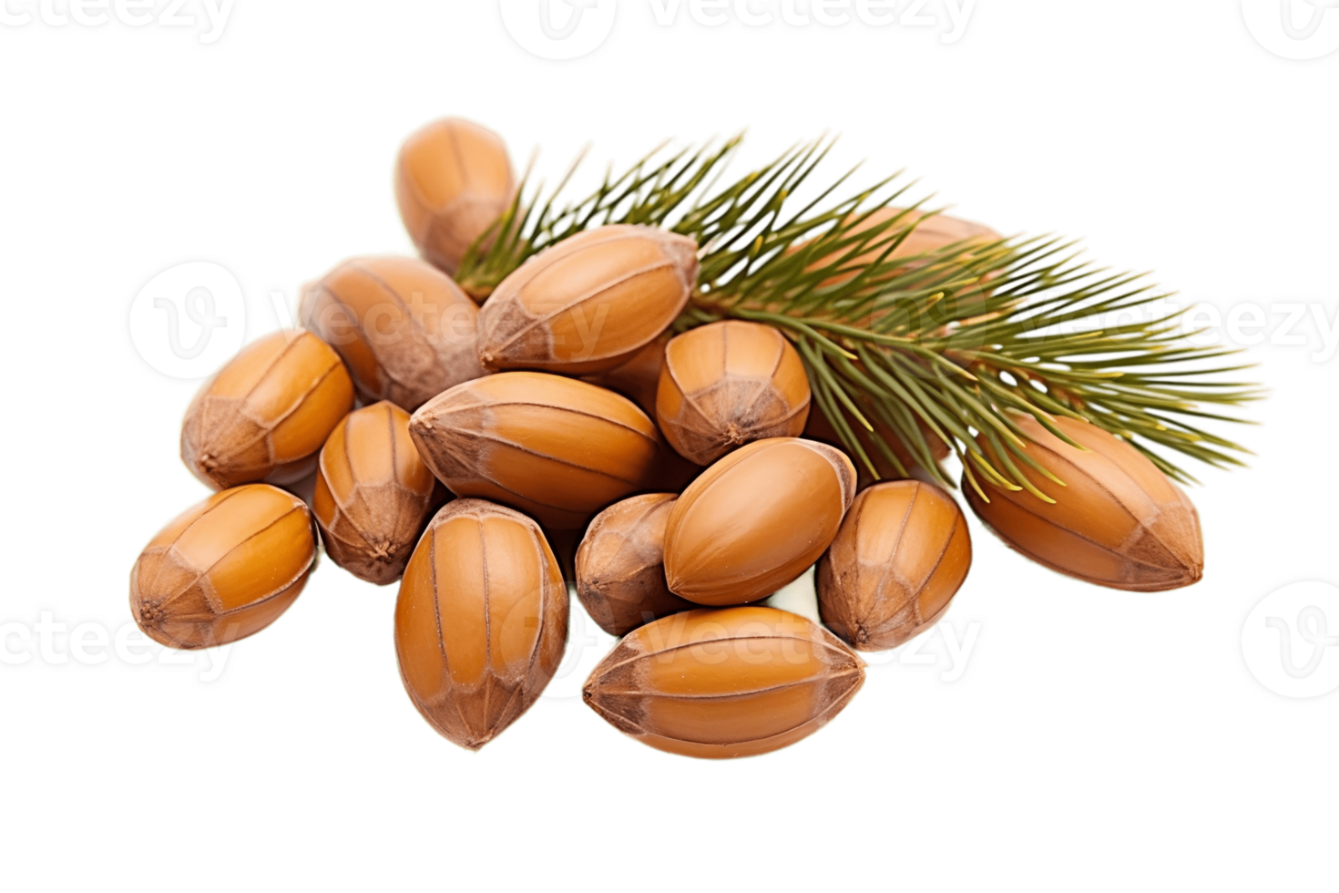 AI generated Pine Nut on Transparent Background. AI png