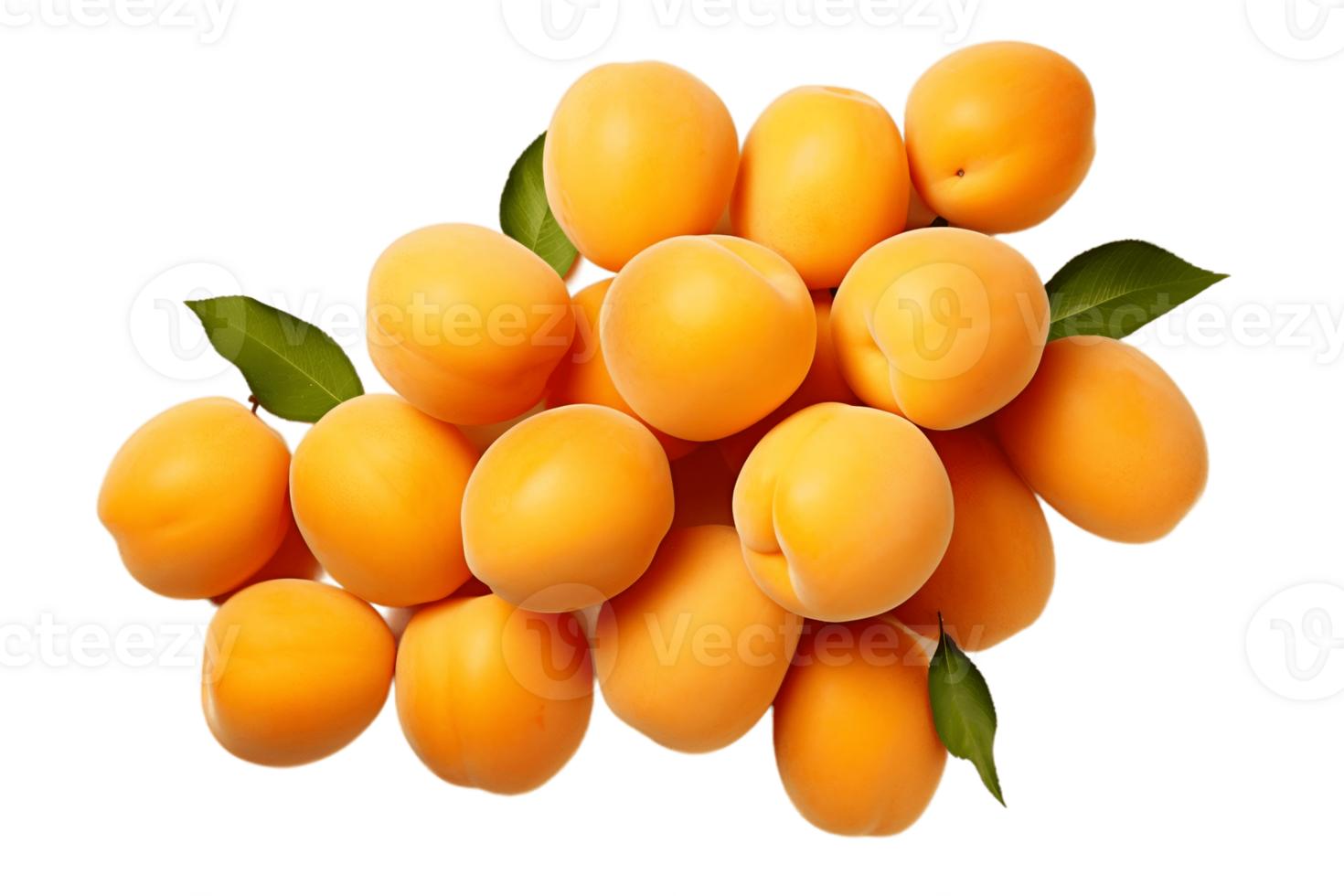 AI generated Apricots on Transparent Background. AI png