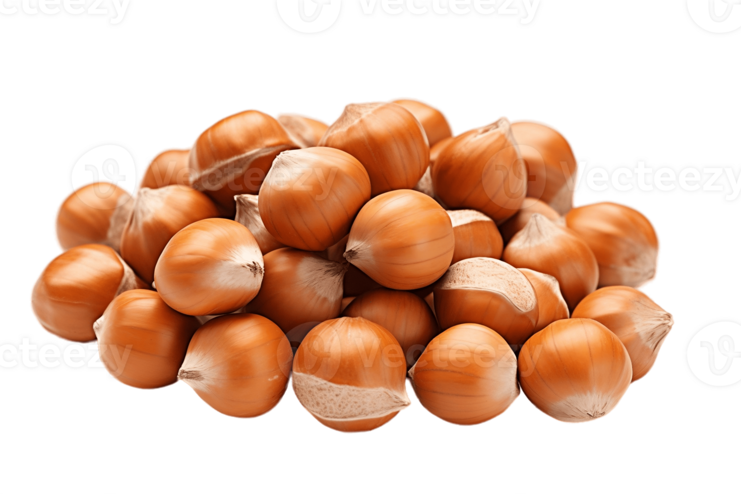 AI generated Hazelnut on Transparent Background. AI png