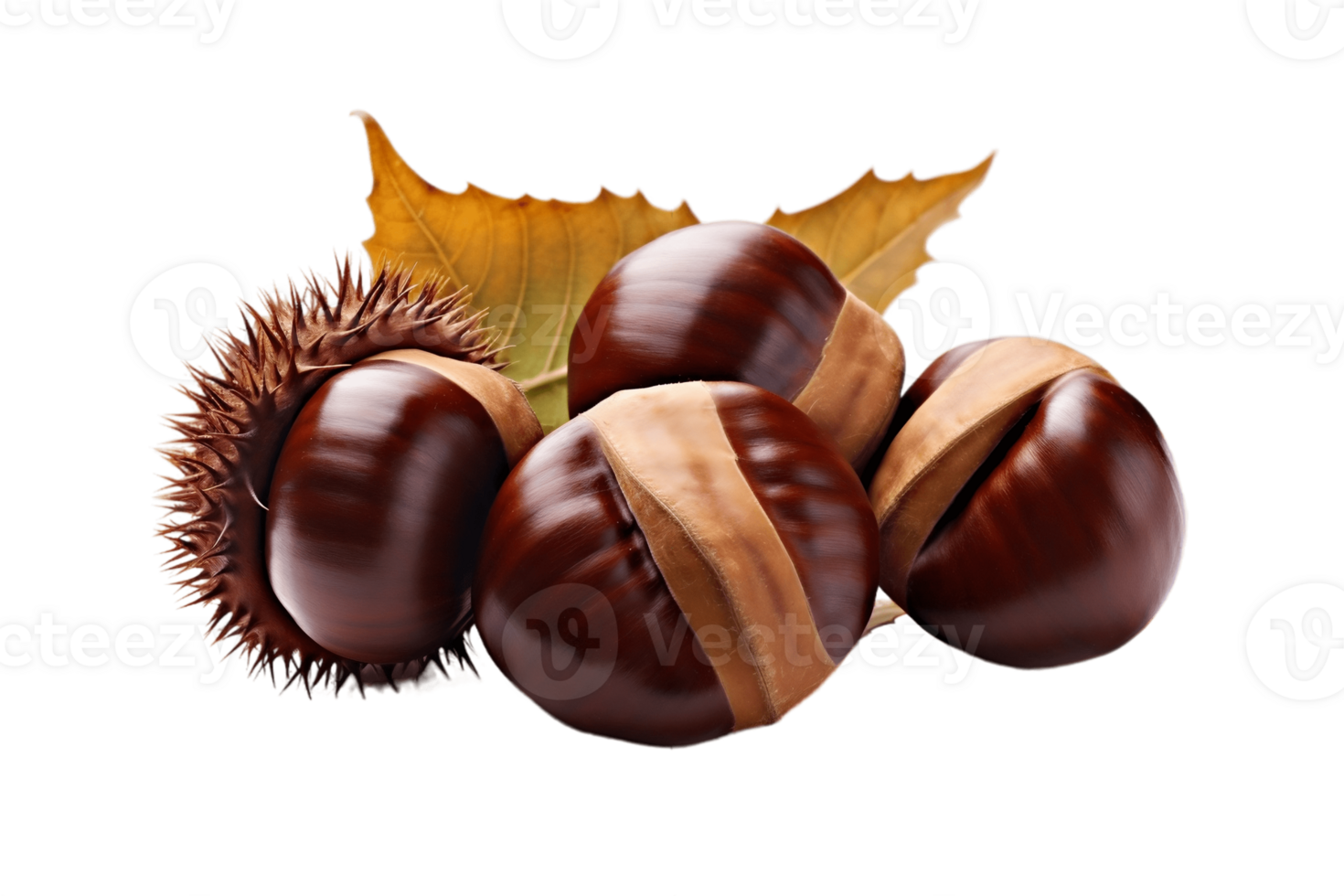 AI generated Chestnuts on Transparent Background. AI png