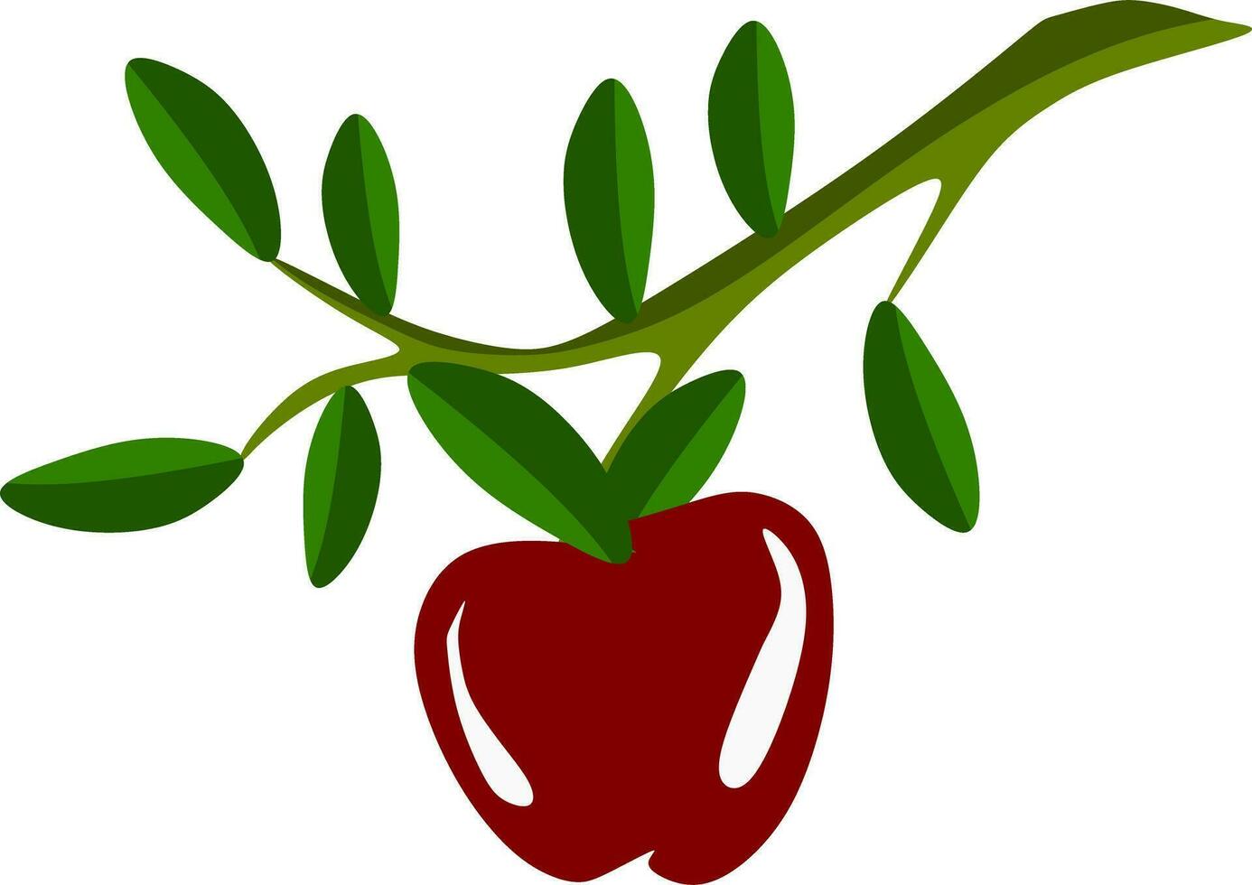 an apple with leaves on white vector