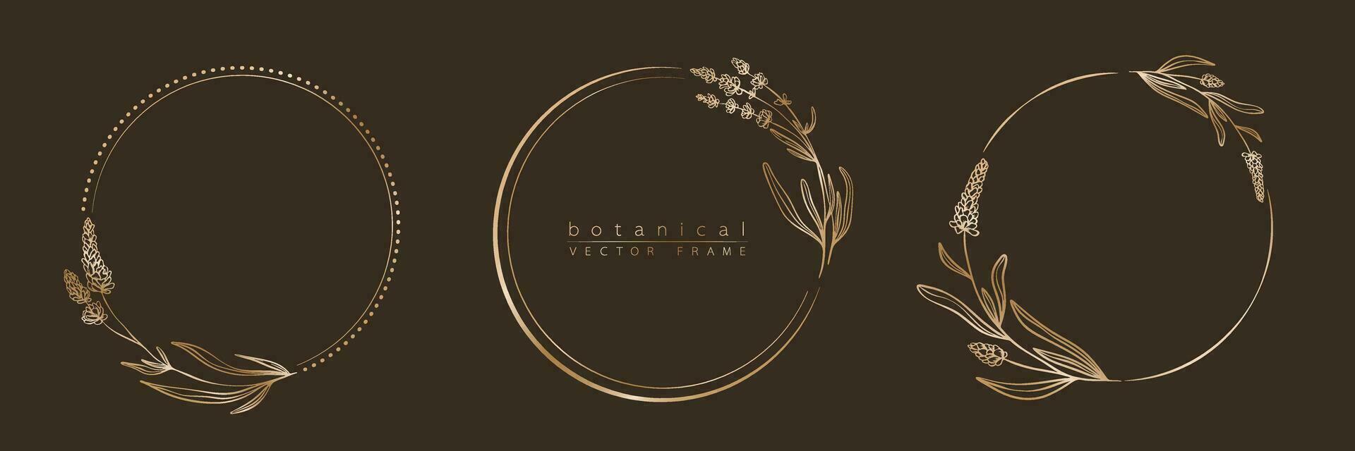 Botanical golden circle frame set. Hand drawn round line border, leaves and flowers for wedding invitation and cards, logo design, social media and posters template. Elegant minimal floral vector. vector