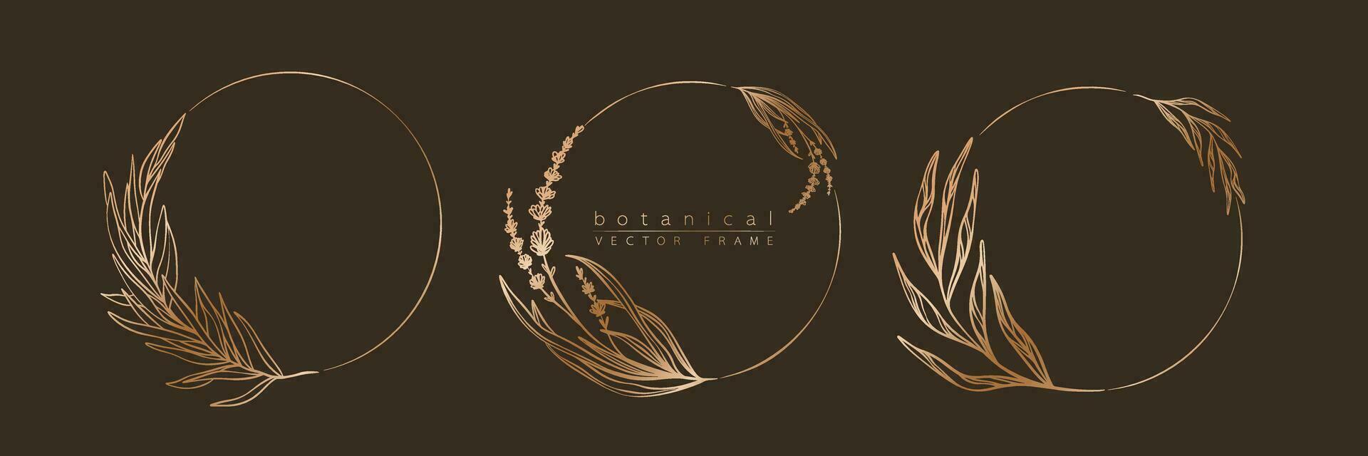 Botanical golden circle frame set. Hand drawn round line border, leaves and flowers for wedding invitation and cards, logo design, social media and posters template. Elegant minimal floral vector. vector