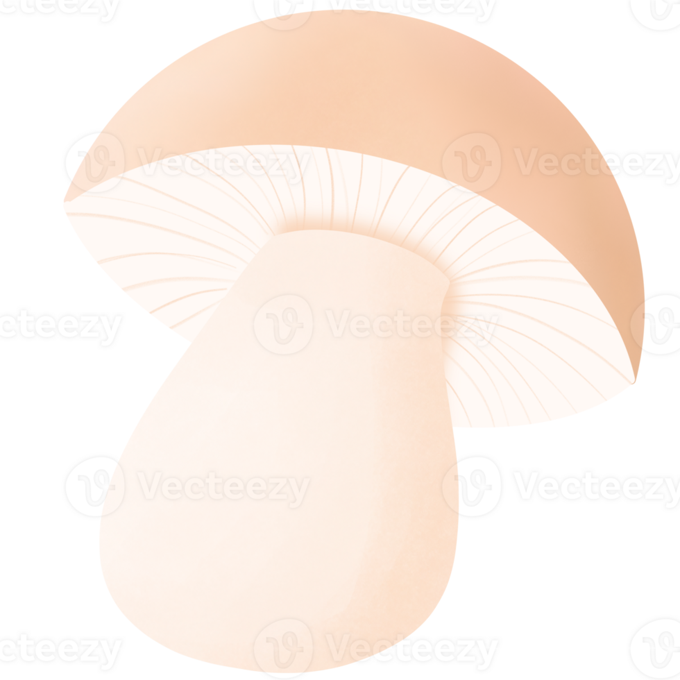 a mushroom on a transparent background png