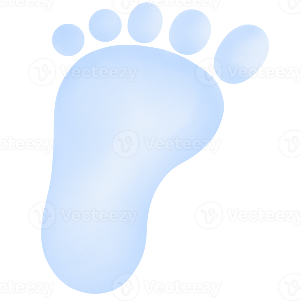 foot print clipart transparent png