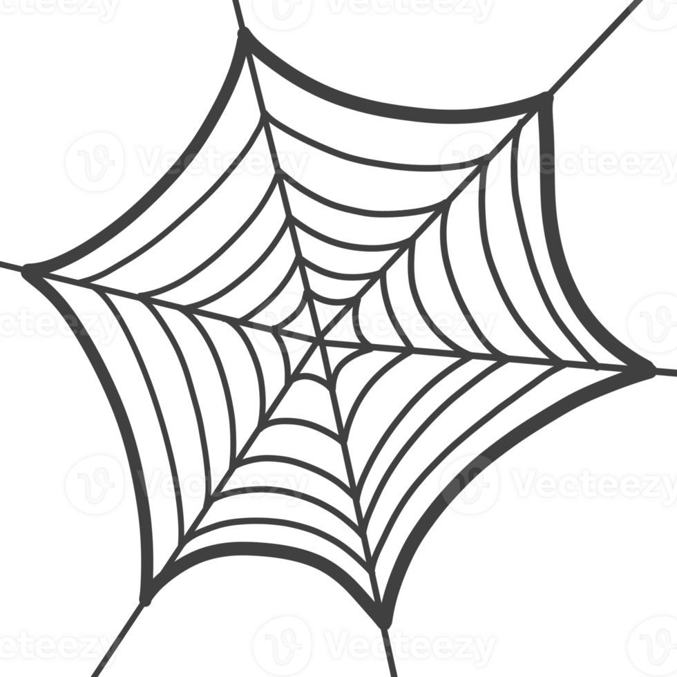 aranha rede aranha rede aranha rede aranha rede aranha rede aranha rede aranha rede aranha rede aranha rede png