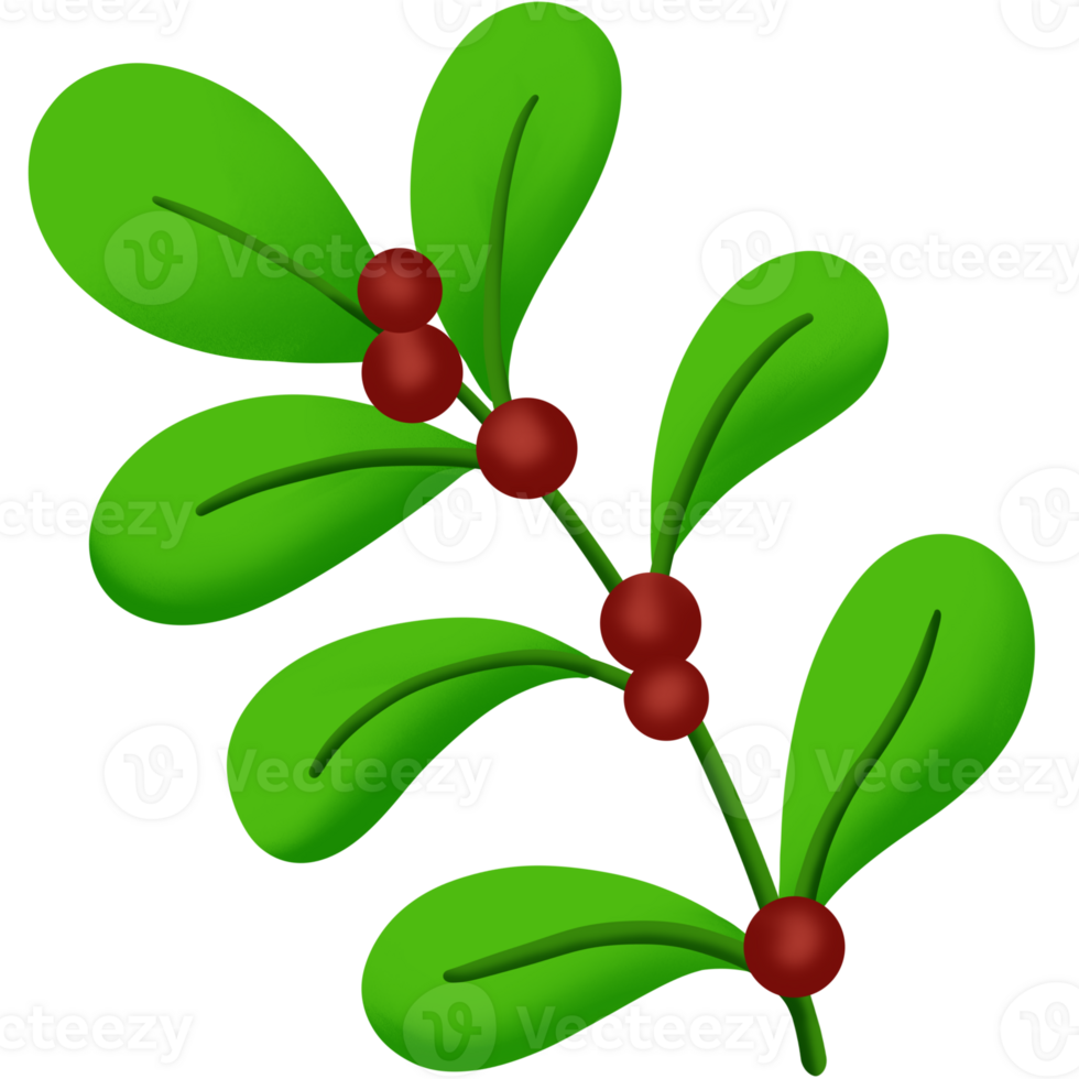 christmas holly leaf clipart png