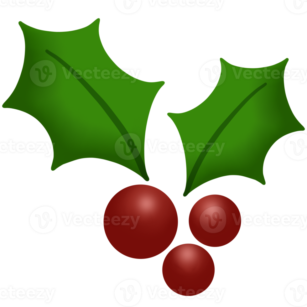 holly berry clipart png