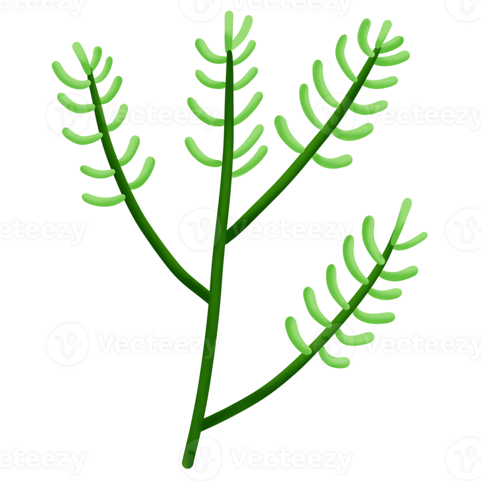 a green plant with leaves on a transparent background png