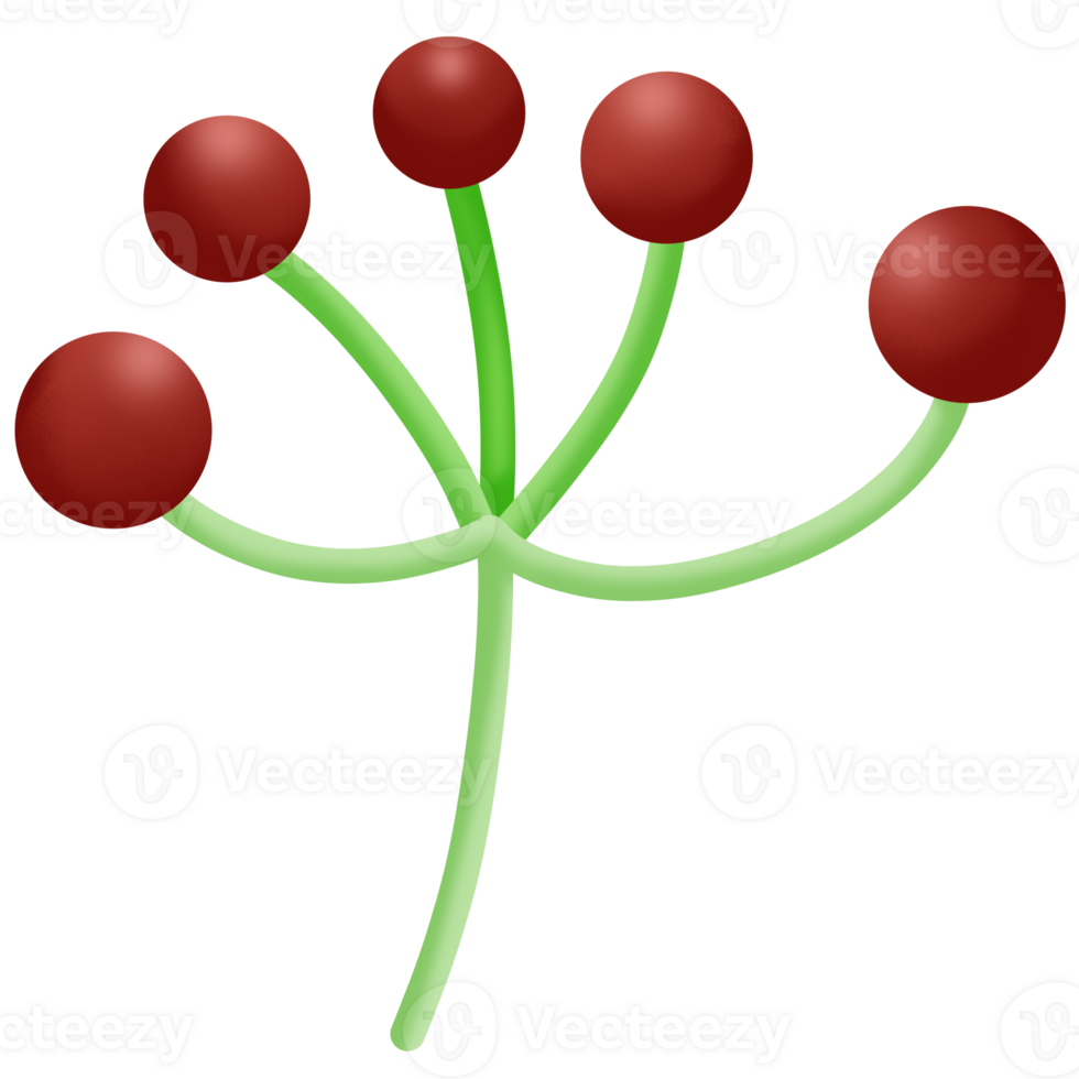 a red and green plant with four berries png