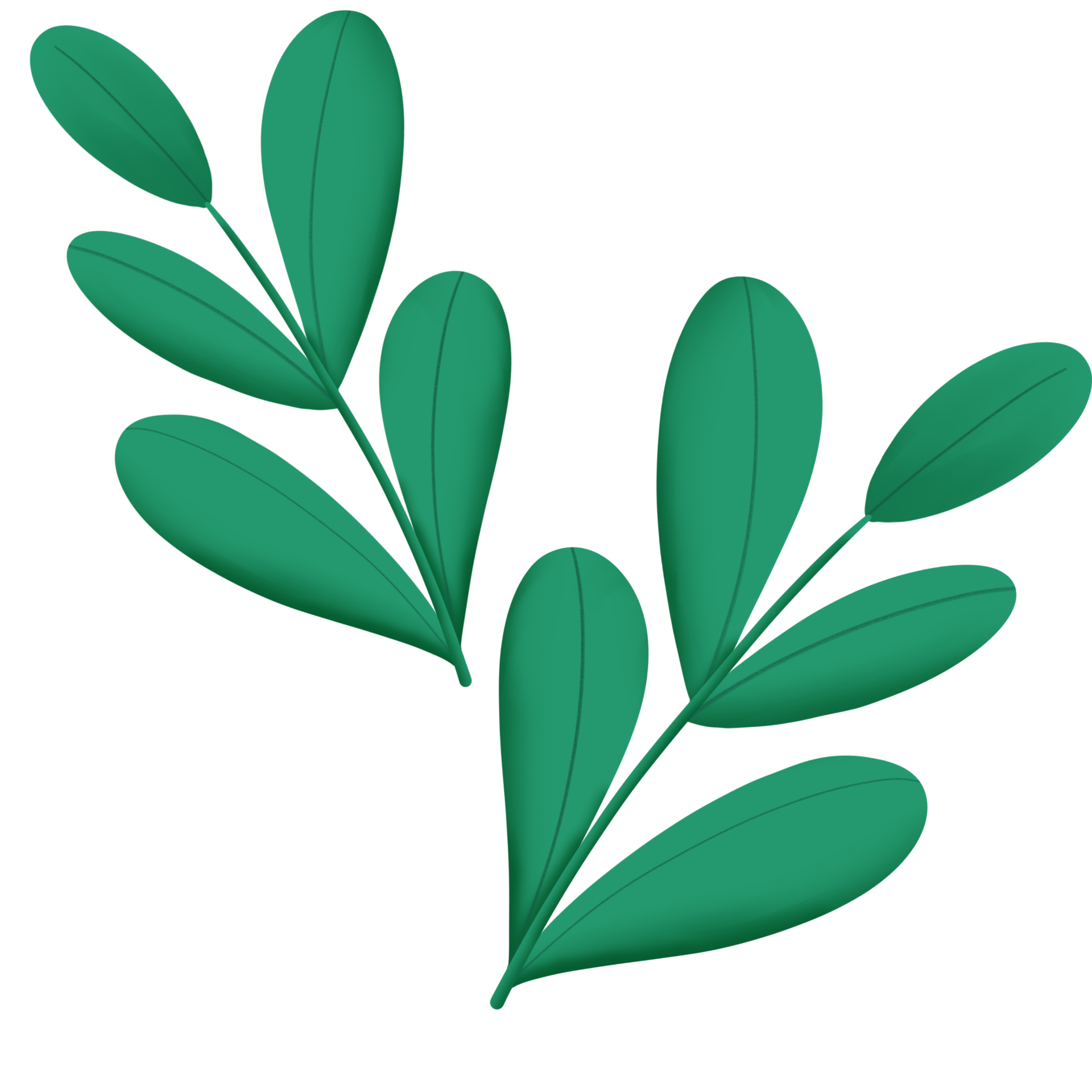 green leaves on transparent background 36502691 PNG