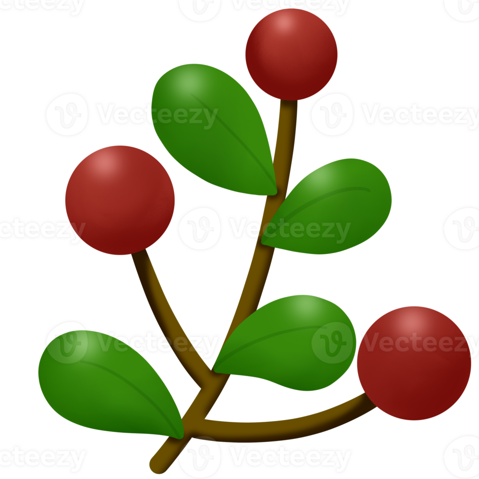 a red berry on a branch with leaves png