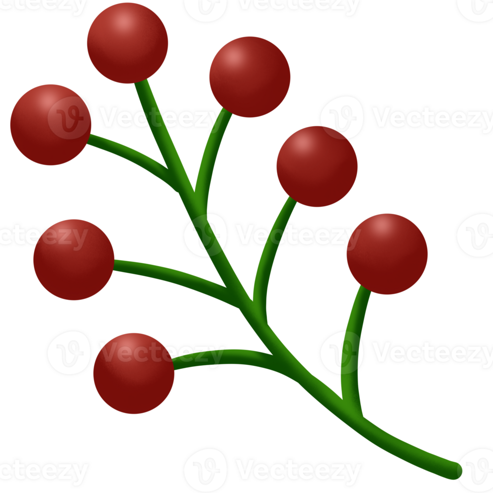 a red berry branch with green leaves png