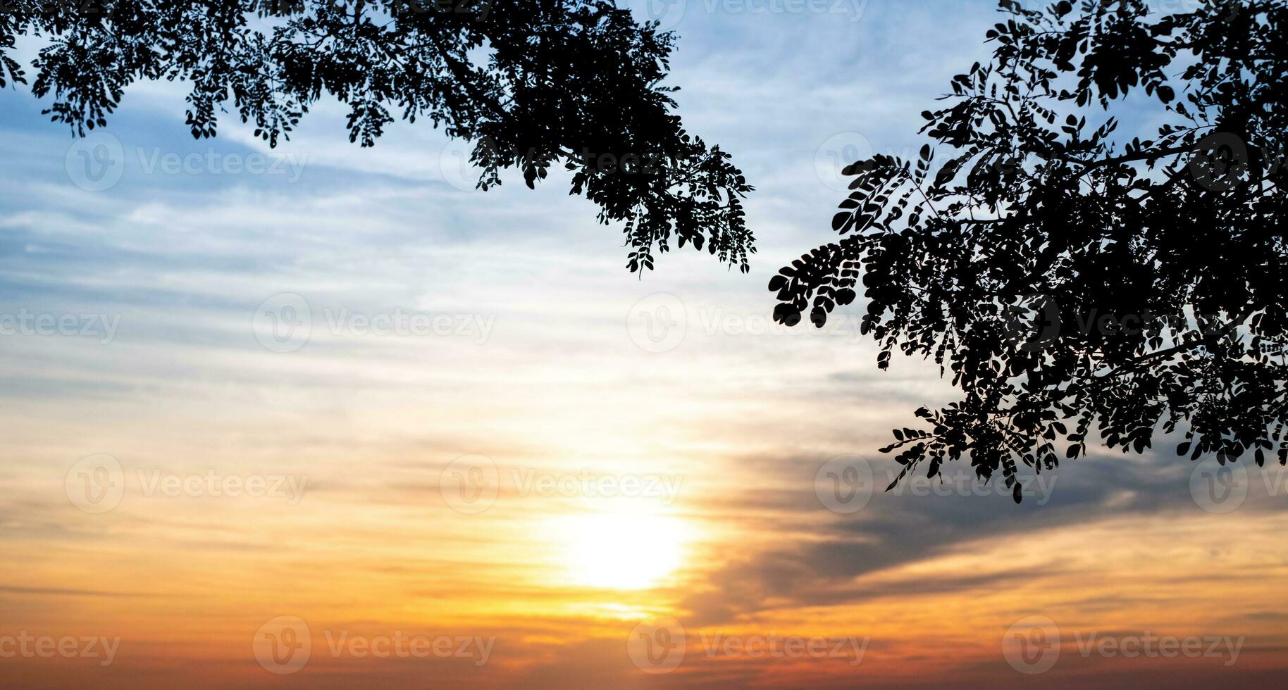 silueta de hoja en árbol rama y borroso de naranja puesta de sol naturaleza fondo, tomar en noche, Mañana cielo, romance sentimiento, lento vida foto